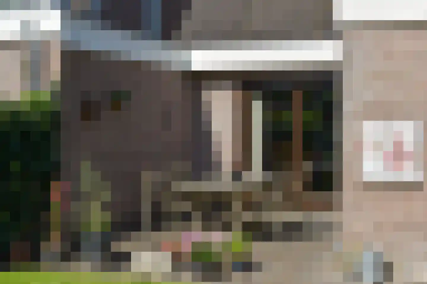 Meerkoet 2 A Mijdrecht thumbnail 30