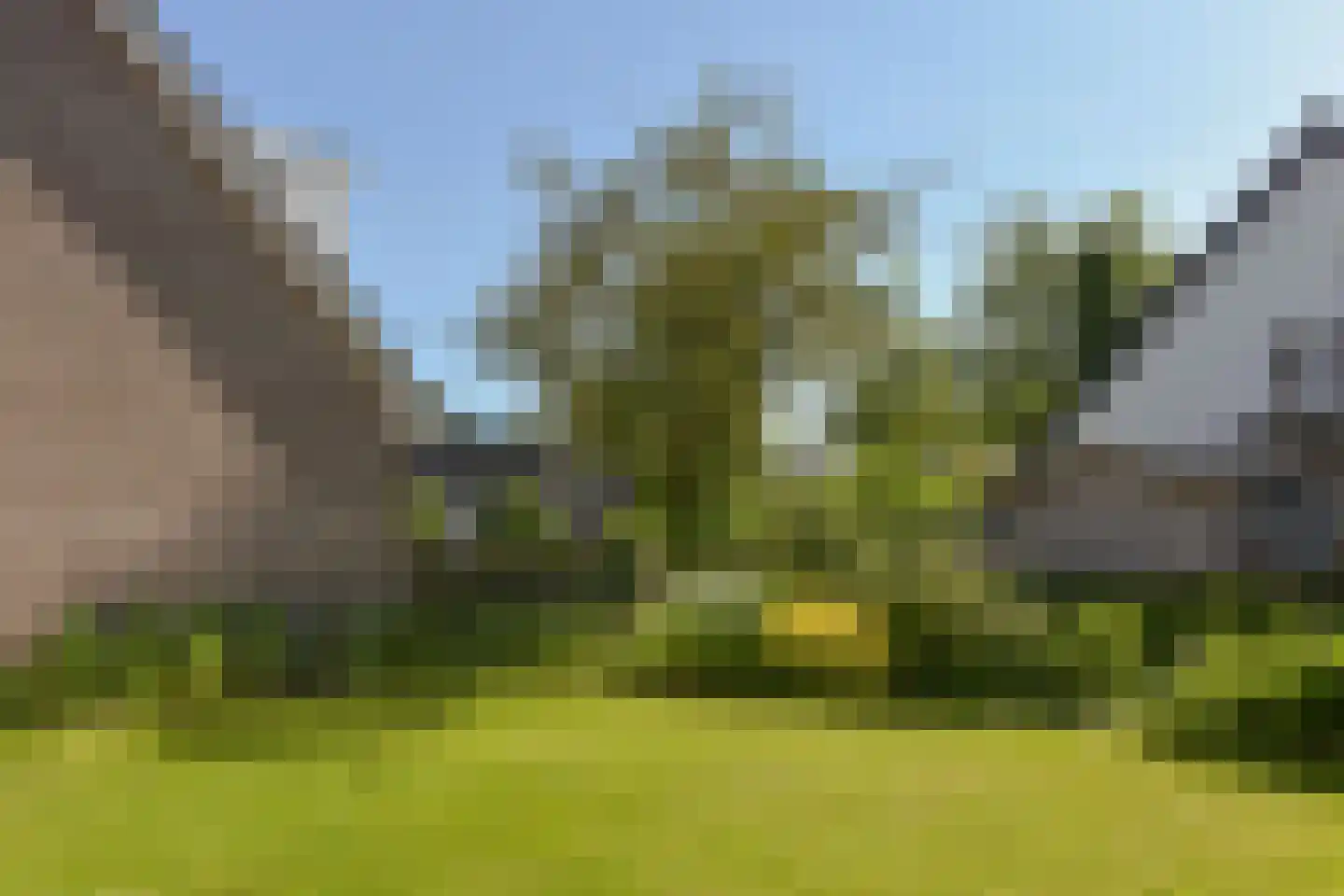 Meerkoet 2 A Mijdrecht thumbnail 32