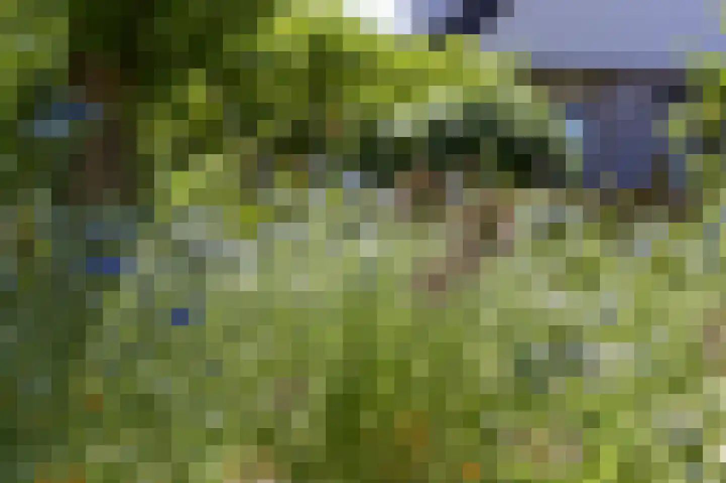 Meerkoet 2 A Mijdrecht thumbnail 33