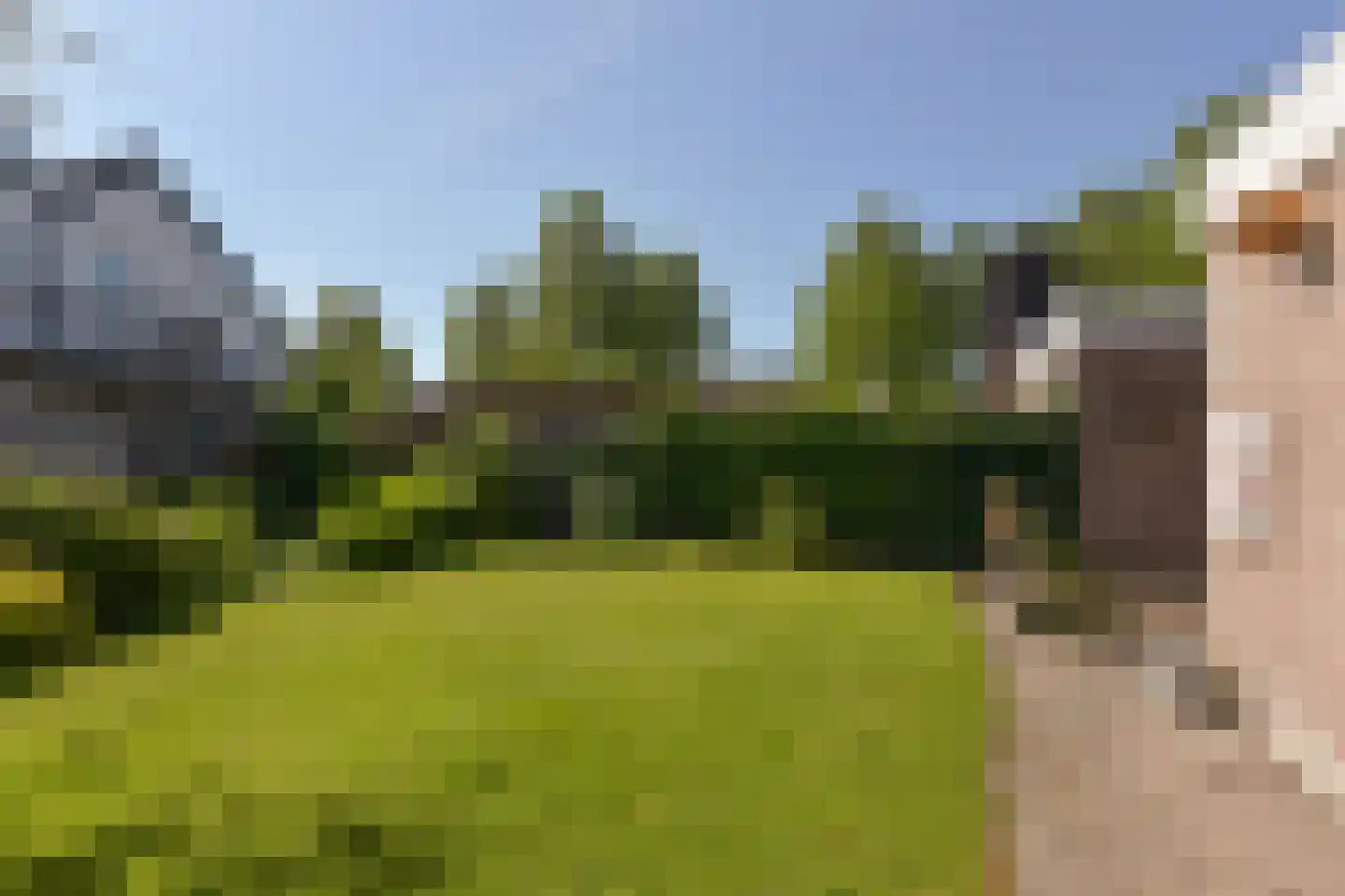 Meerkoet 2 A Mijdrecht thumbnail 33