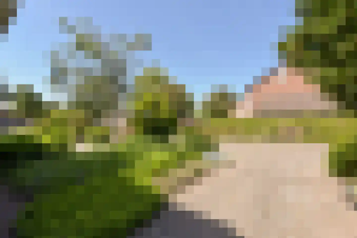 Meerkoet 2 A Mijdrecht thumbnail 35