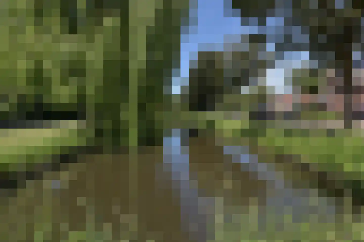 Meerkoet 2 A Mijdrecht thumbnail 36