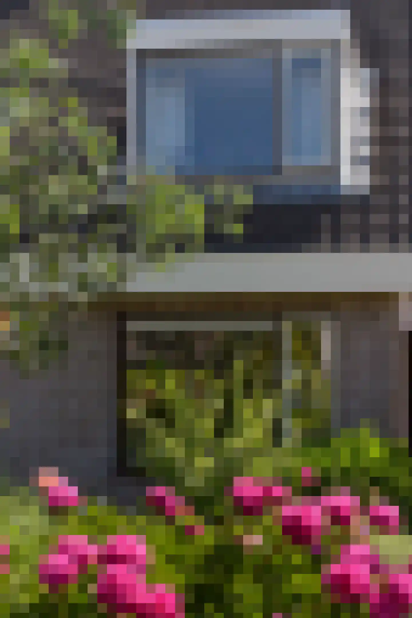 Meerkoet 2 A Mijdrecht thumbnail 41