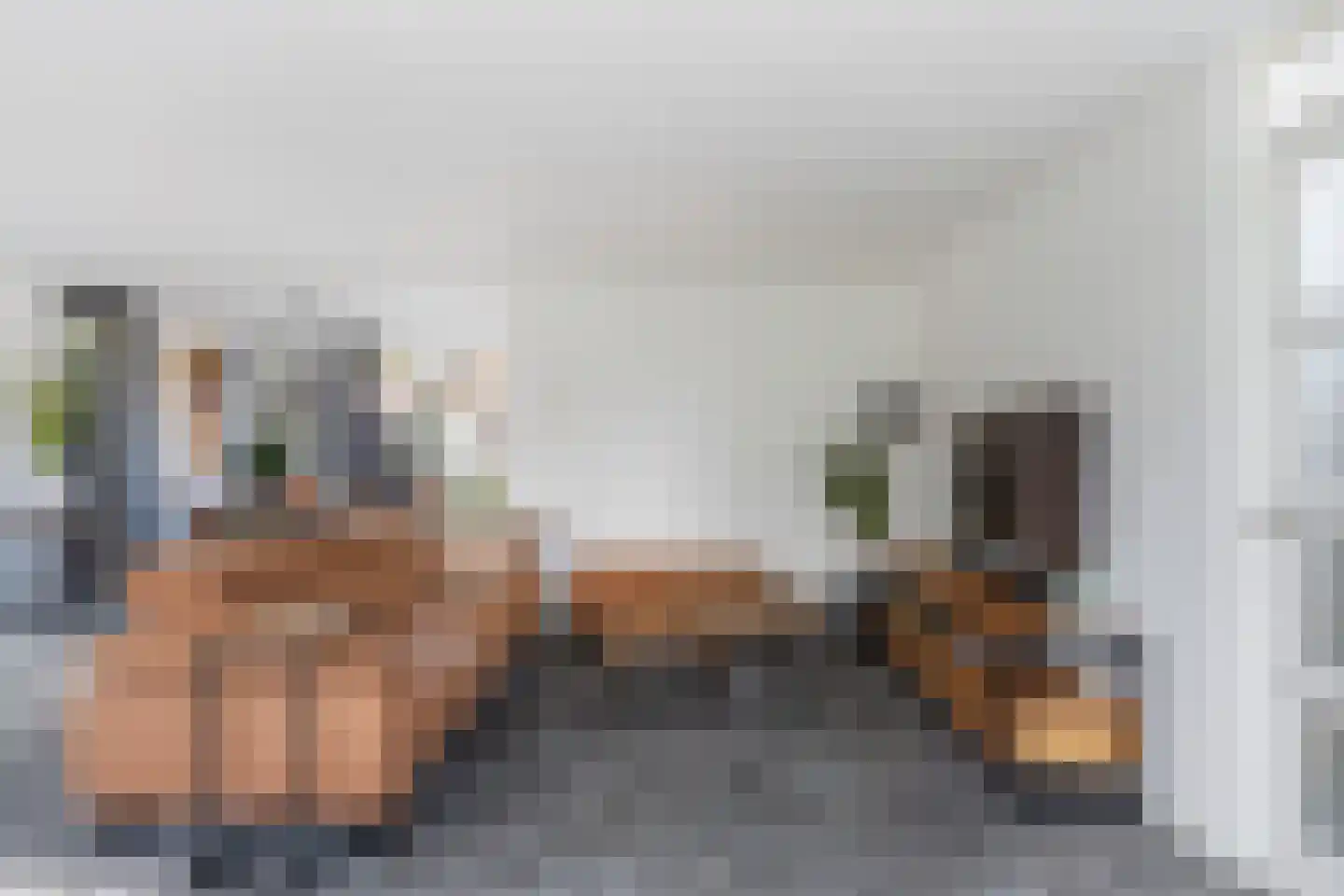 Meerkoet 2 Rozenburg thumbnail 12