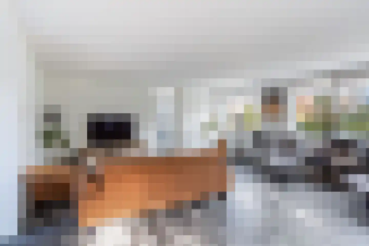 Meerkoet 2 Rozenburg thumbnail 13
