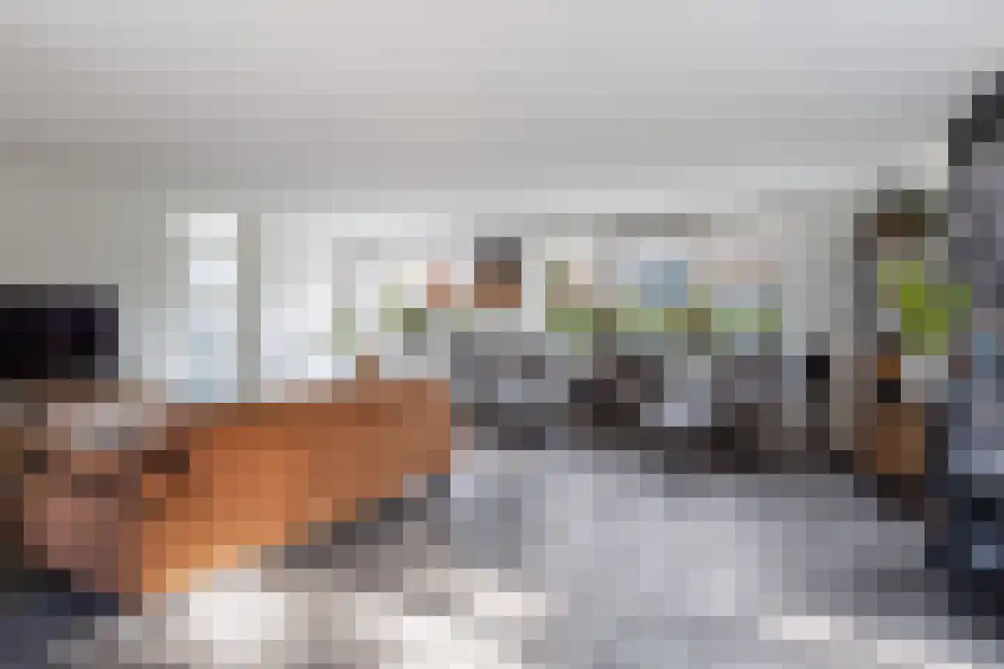 Meerkoet 2 Rozenburg thumbnail 14