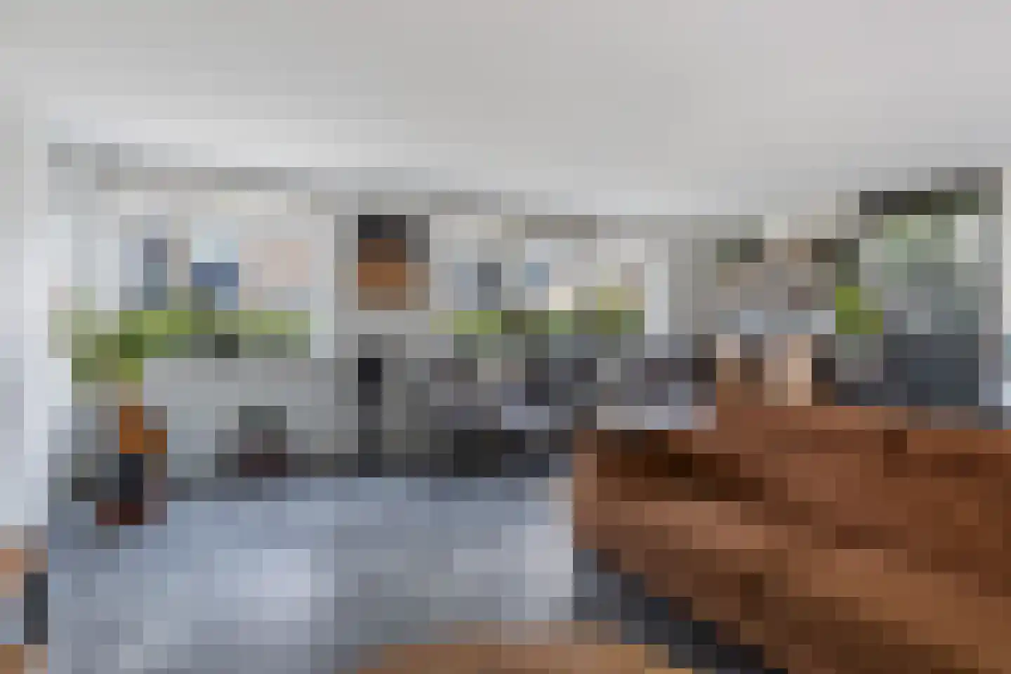 Meerkoet 2 Rozenburg thumbnail 16