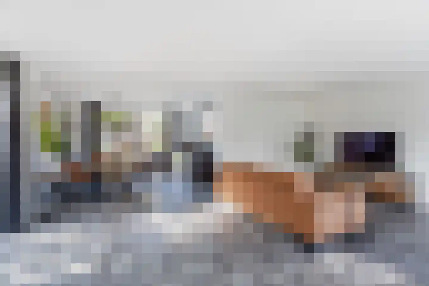 Meerkoet 2 Rozenburg thumbnail 17