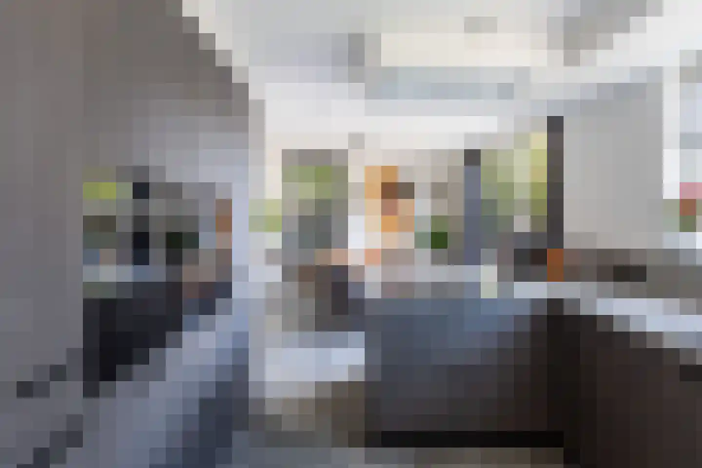 Meerkoet 2 Rozenburg thumbnail 26