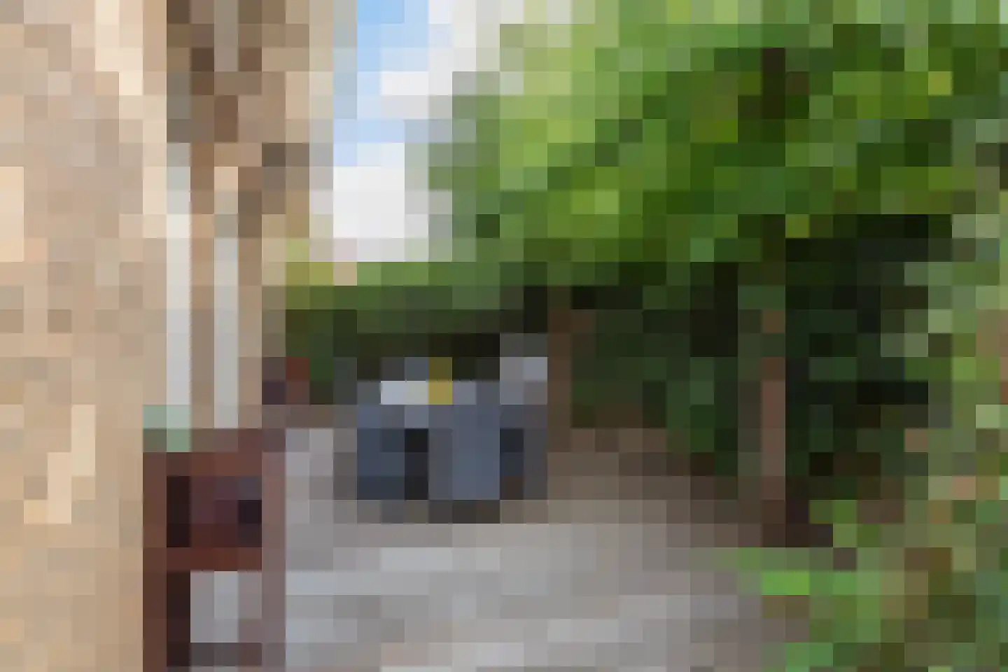 Meerkoet 2 Rozenburg thumbnail 27