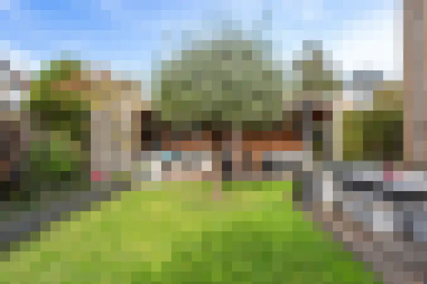 Meerkoet 2 Rozenburg thumbnail 29