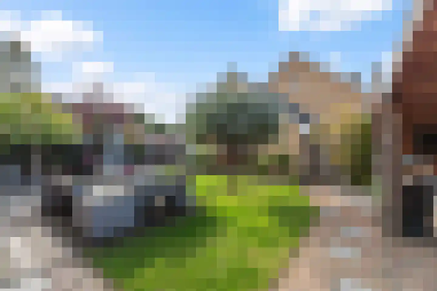 Meerkoet 2 Rozenburg thumbnail 32