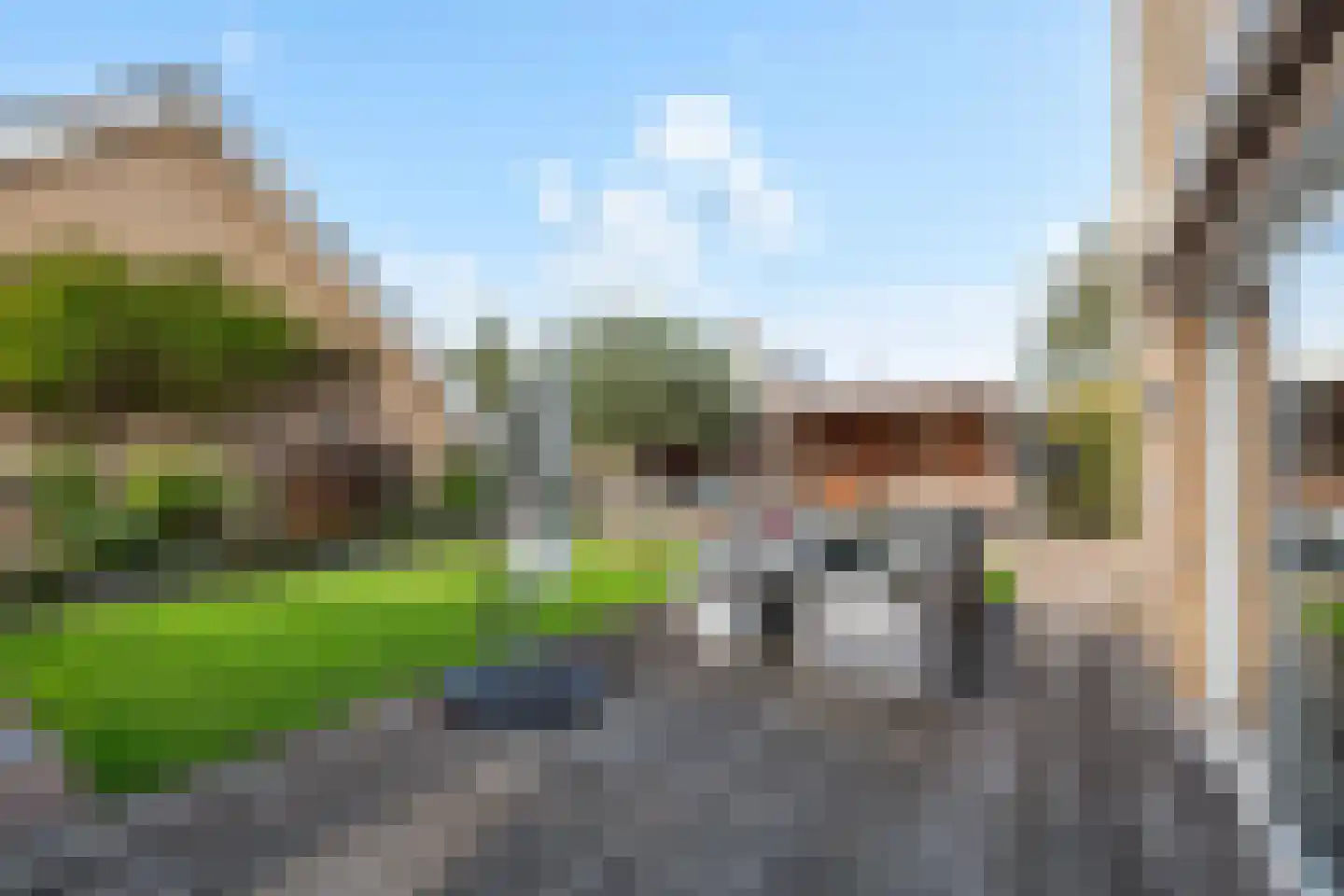 Meerkoet 2 Rozenburg thumbnail 4