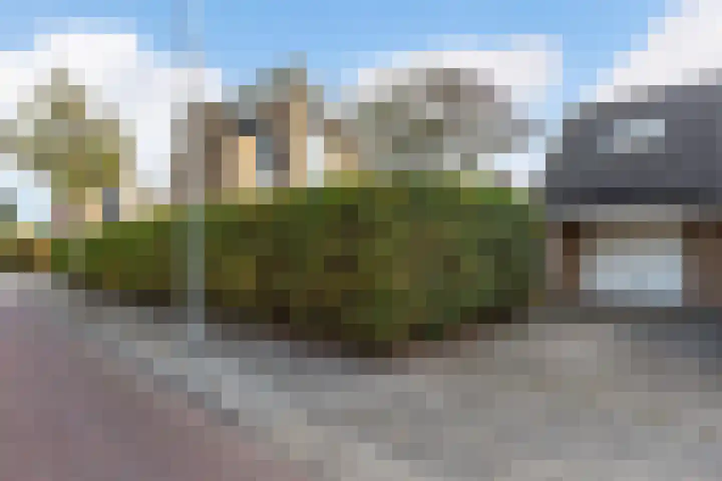 Meerkoet 2 Rozenburg thumbnail 40