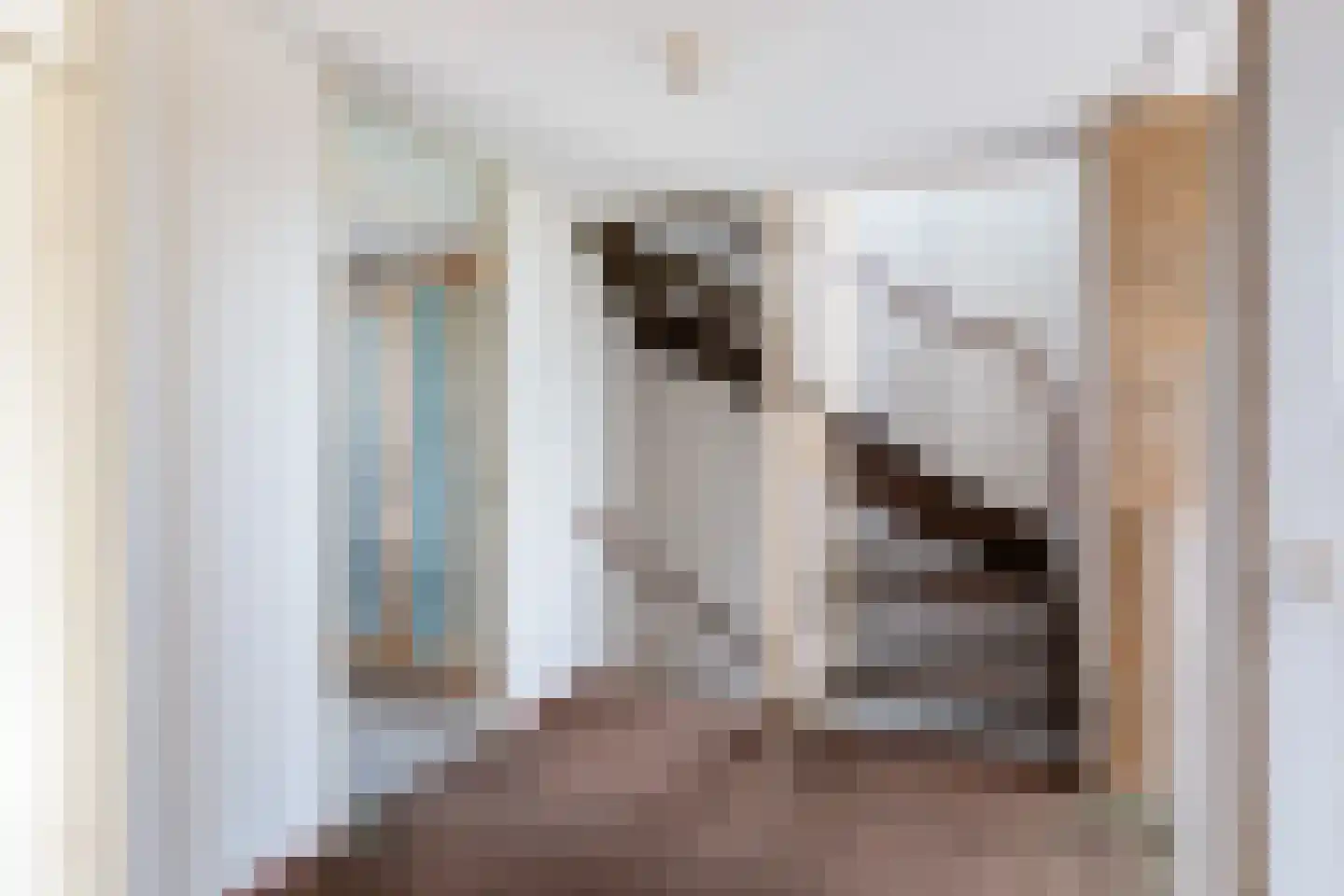 Meerkoet 2 Rozenburg thumbnail 42