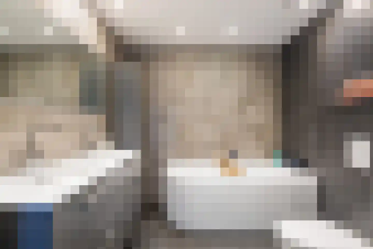 Meerkoet 2 Rozenburg thumbnail 48
