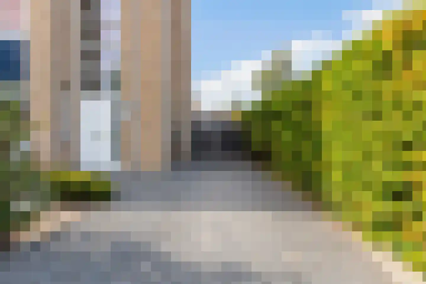 Meerkoet 2 Rozenburg thumbnail 5