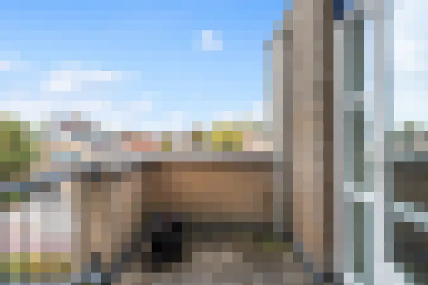 Meerkoet 2 Rozenburg thumbnail 55