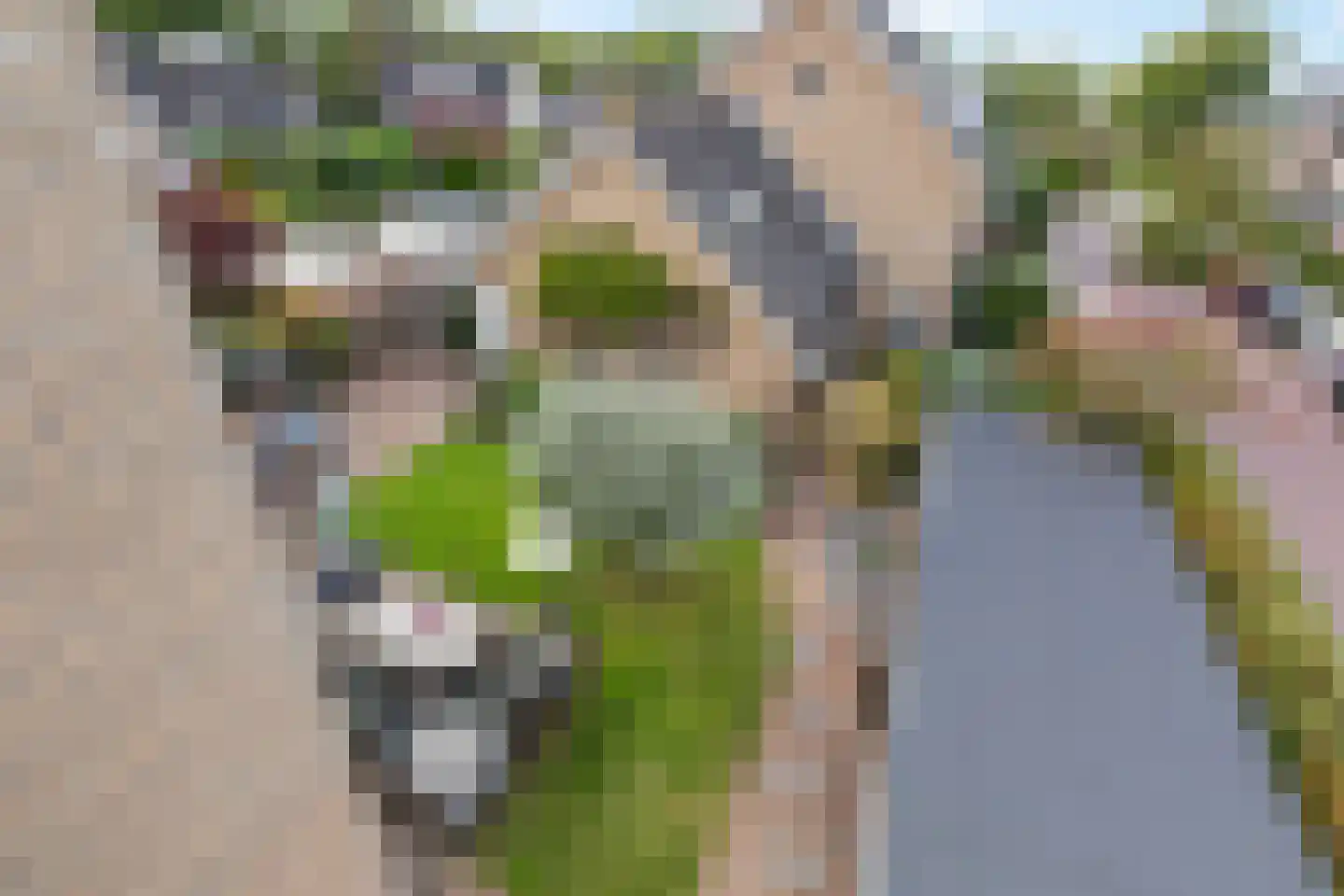 Meerkoet 2 Rozenburg thumbnail 56