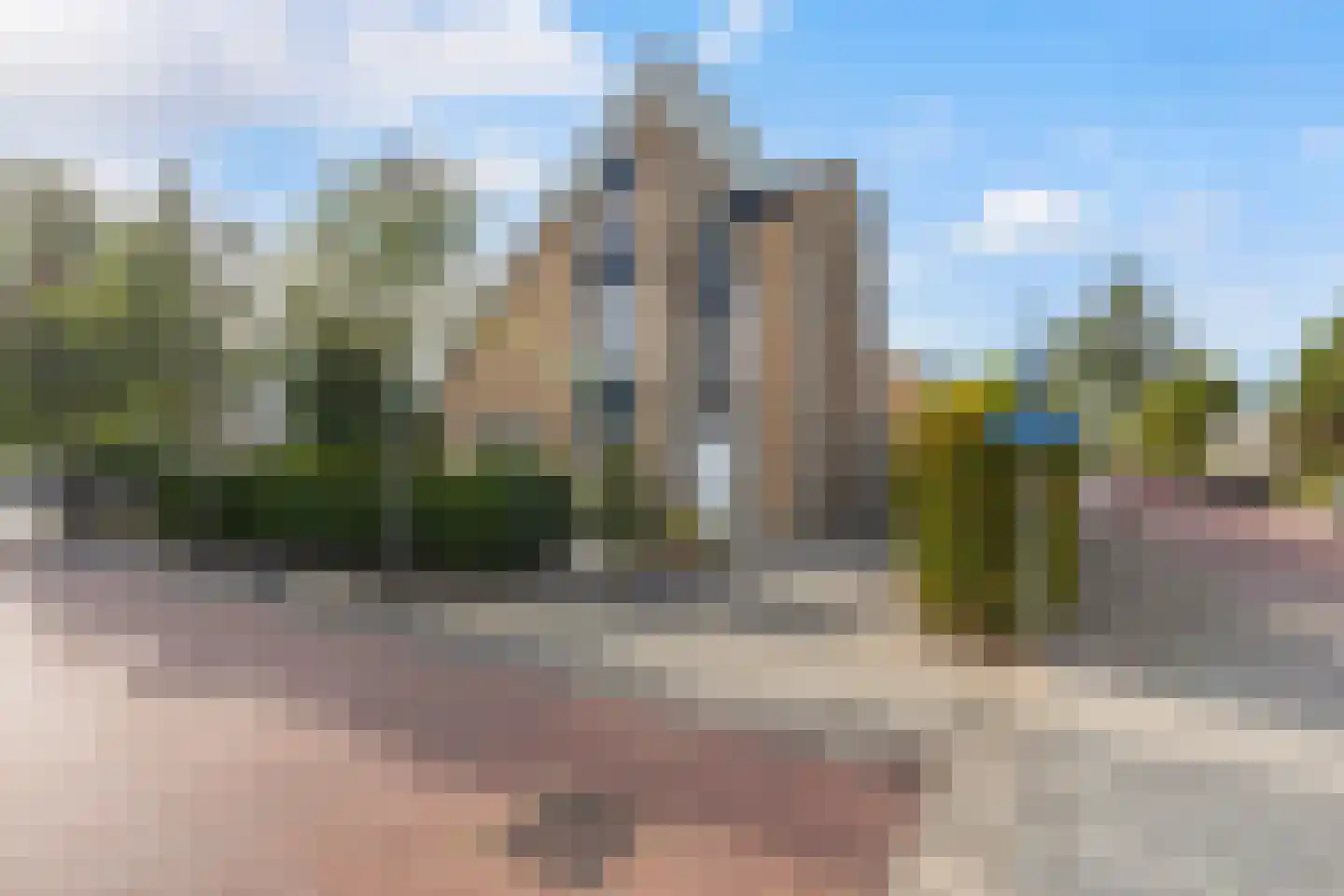 Meerkoet 2 Rozenburg thumbnail 57