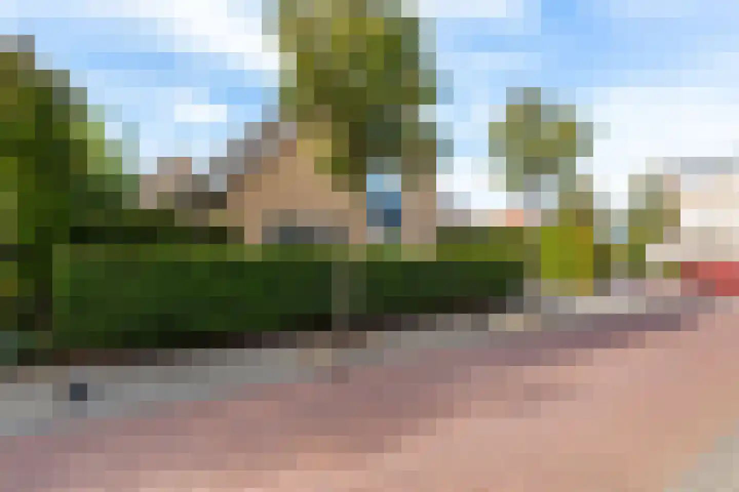 Meerkoet 2 Rozenburg thumbnail 59