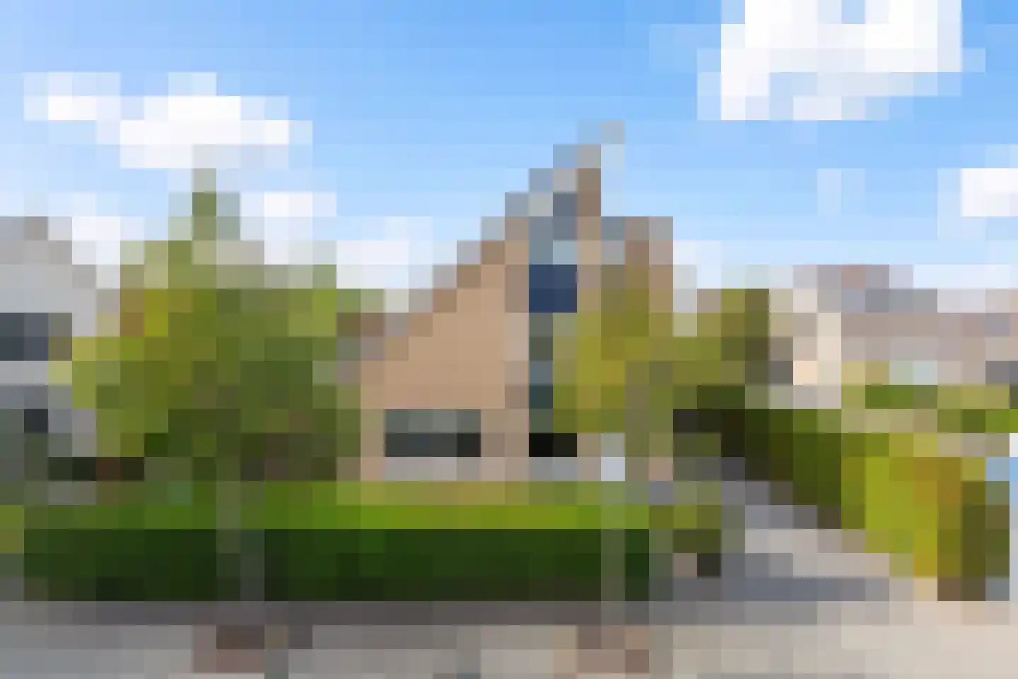Meerkoet 2 Rozenburg thumbnail 60
