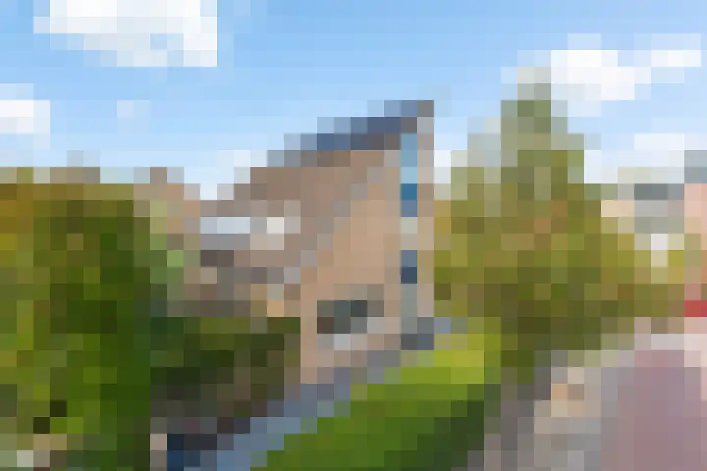 Meerkoet 2 Rozenburg thumbnail 61