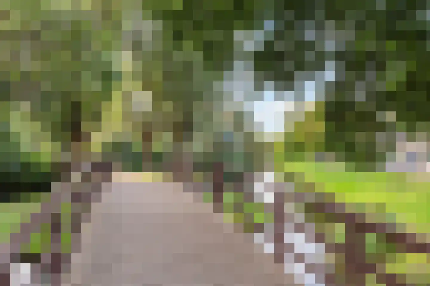 Meerkoet 2 Rozenburg thumbnail 62