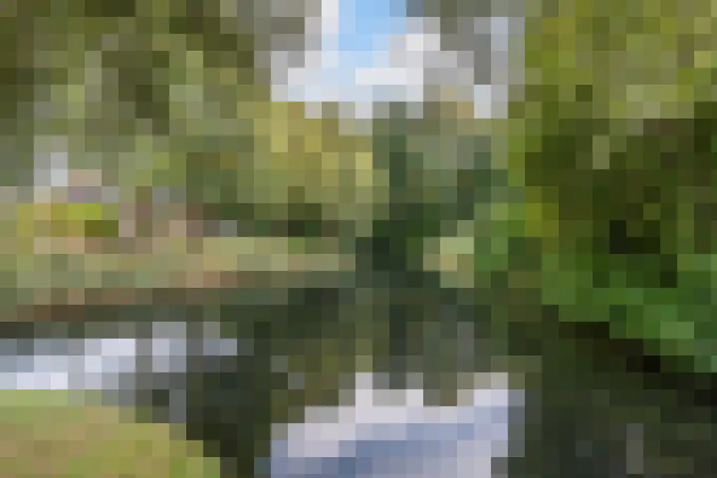 Meerkoet 2 Rozenburg thumbnail 63