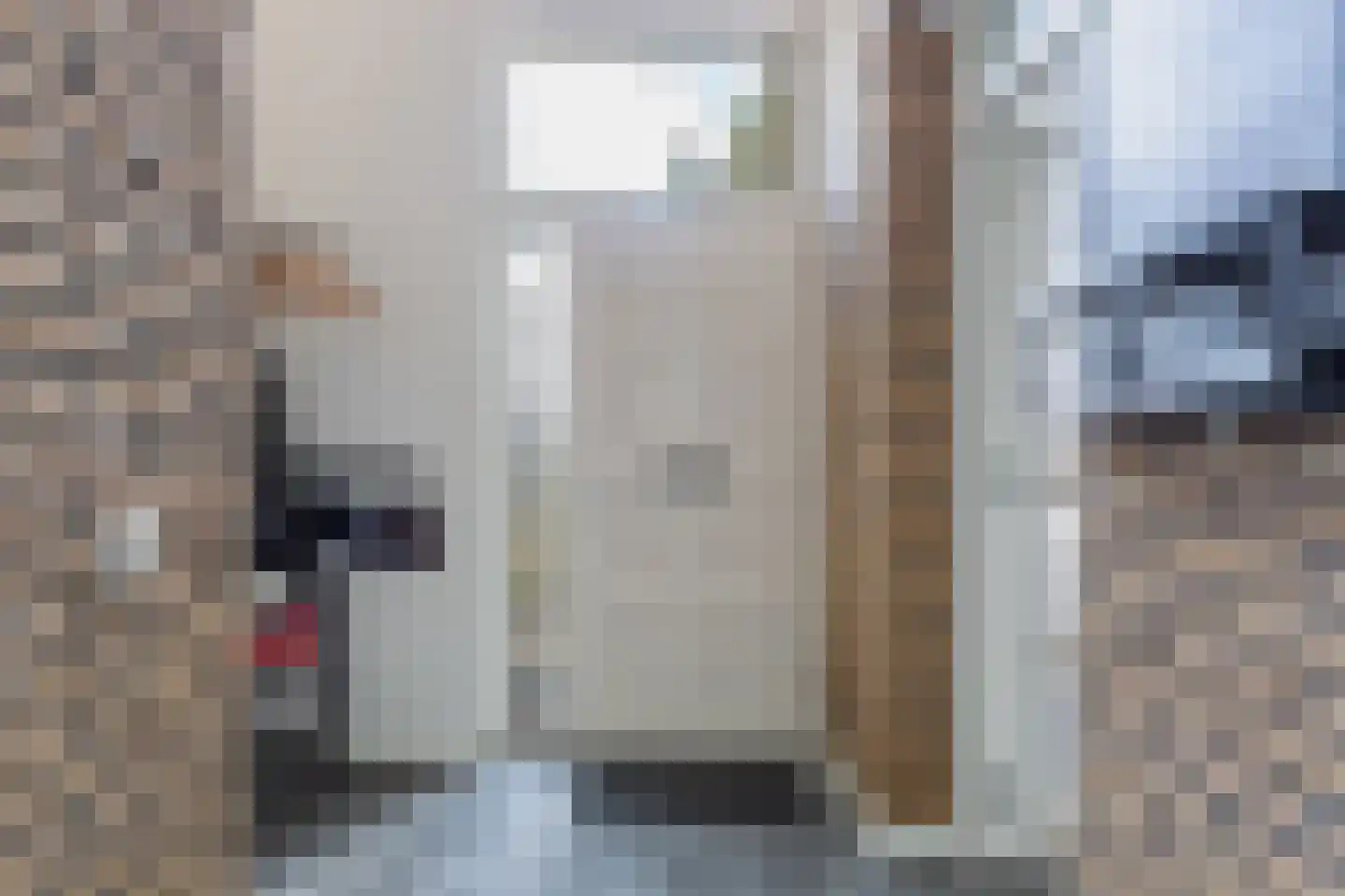 Meerkoet 2 Rozenburg thumbnail 7