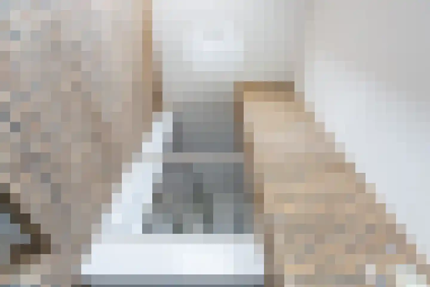 Meerkoet 2 Rozenburg thumbnail 8