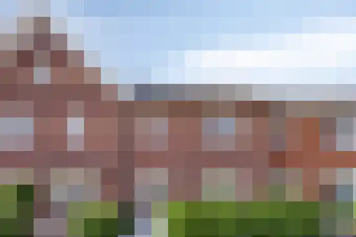 Meerkoet 20 Veenendaal