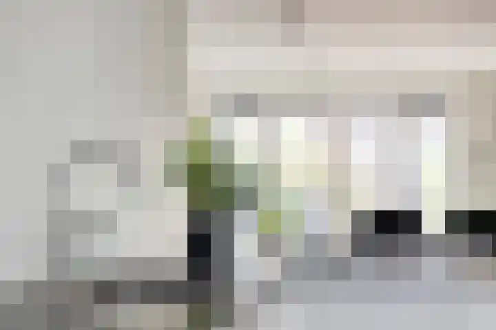 Meerkoet 20 Veenendaal thumbnail 10