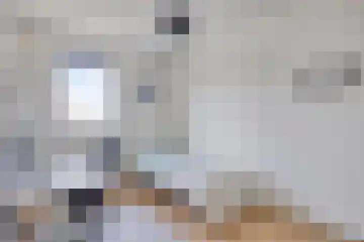 Meerkoet 20 Veenendaal thumbnail 17