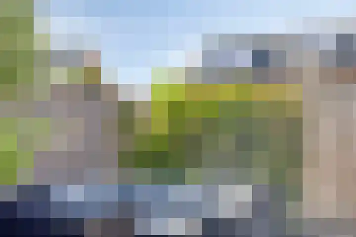 Meerkoet 20 Veenendaal thumbnail 24