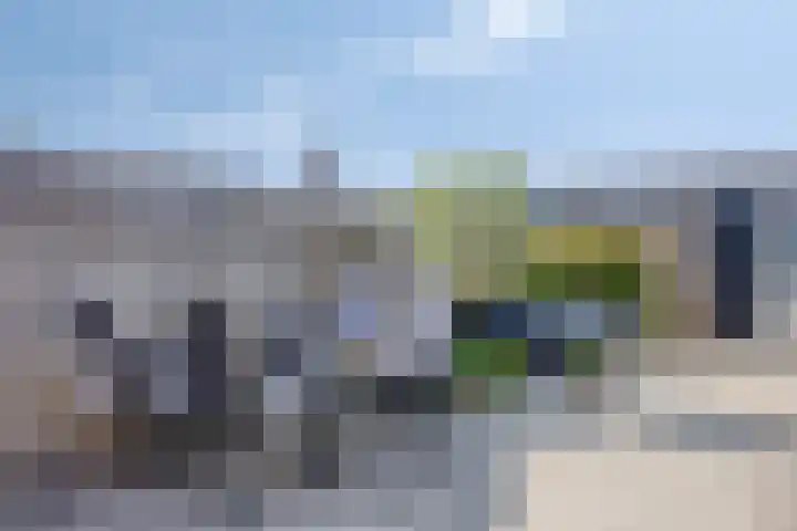 Meerkoet 20 Veenendaal thumbnail 25