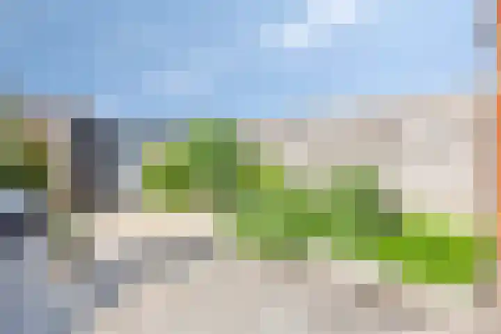 Meerkoet 20 Veenendaal thumbnail 26
