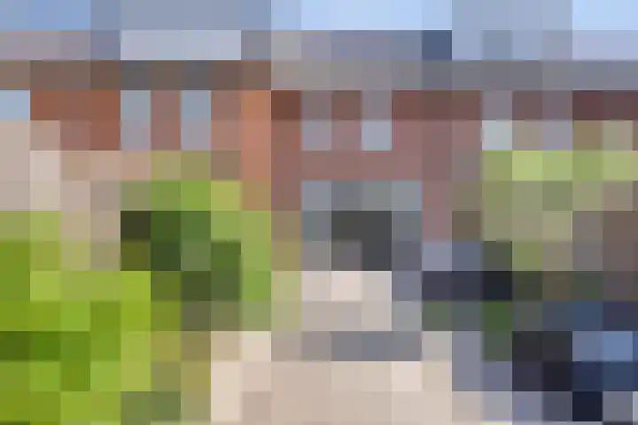 Meerkoet 20 Veenendaal thumbnail 27