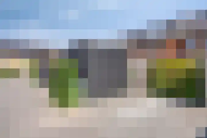 Meerkoet 20 Veenendaal thumbnail 28