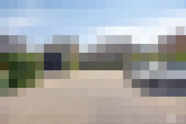 Meerkoet 20 Veenendaal thumbnail 29