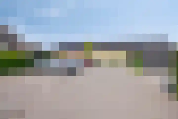 Meerkoet 20 Veenendaal thumbnail 30