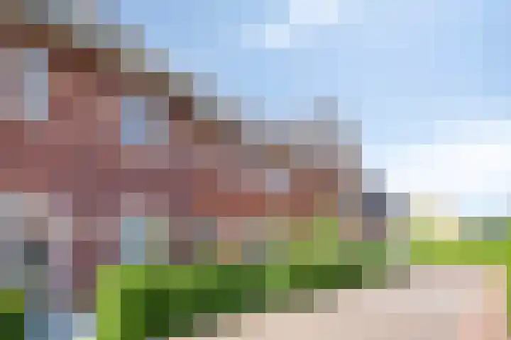 Meerkoet 20 Veenendaal thumbnail 31