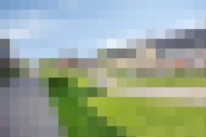 Meerkoet 20 Veenendaal thumbnail 32