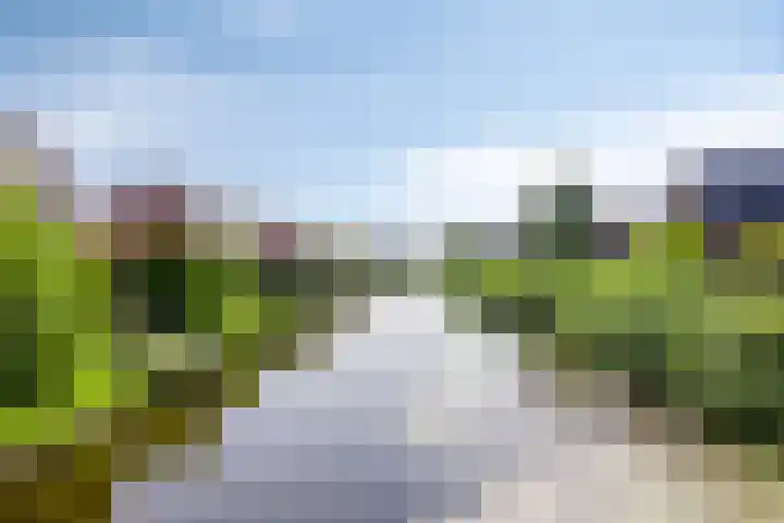 Meerkoet 20 Veenendaal thumbnail 33