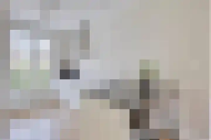 Meerkoet 20 Veenendaal thumbnail 7