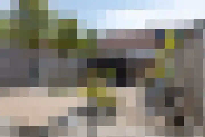 Meerkoet 21 Bergen op Zoom thumbnail 28