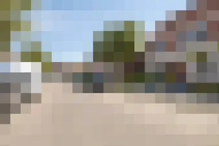 Meerkoet 21 Bergen op Zoom thumbnail 31