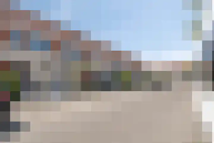 Meerkoet 21 Bergen op Zoom thumbnail 32