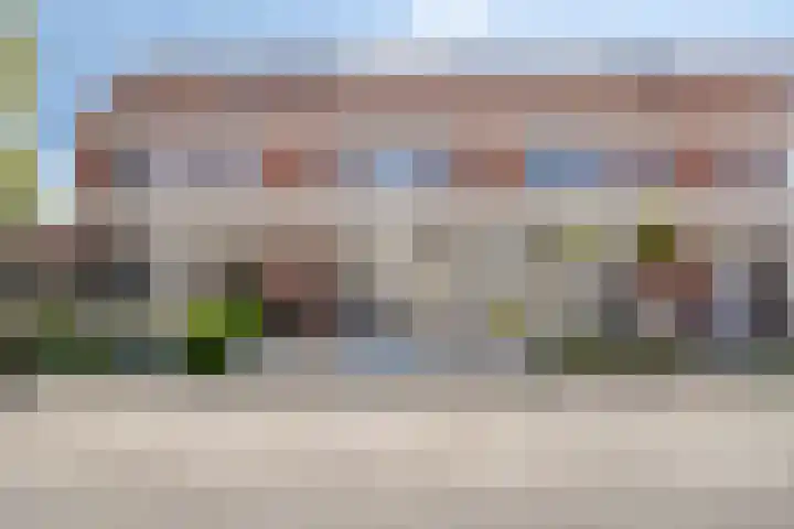 Meerkoet 21 Bergen op Zoom thumbnail 38