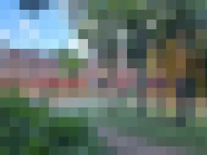 Meerkoet 21 Deventer thumbnail 14